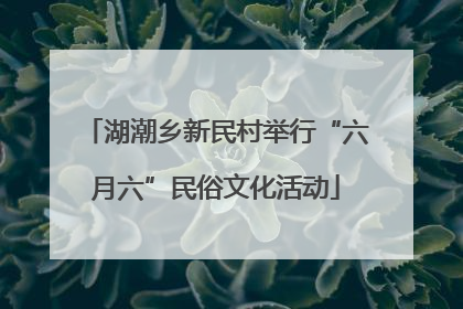 湖潮乡新民村举行“六月六”民俗文化活动